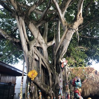 Upper Buena Vista - Shopping Centers Near Me - Miami, Florida