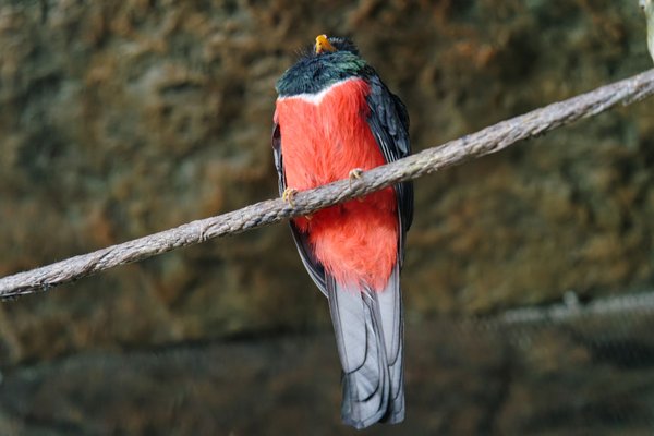 The Dallas World Aquarium by null