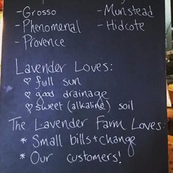 Sherborn Lavender - Varieties we grow