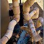 Photo of Hydro Werx pool service