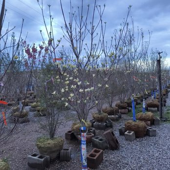 Kurtz Bros. Mulch & Soils - Nurseries & Gardening Near Me - Columbus, Ohio Kurtz Bros. Mulch & Soils - Nurseries & Gardening Near Me - Columbus, Ohio