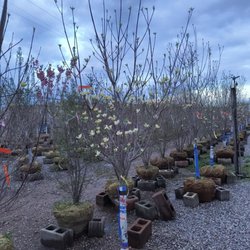 Kurtz Bros. Mulch & Soils