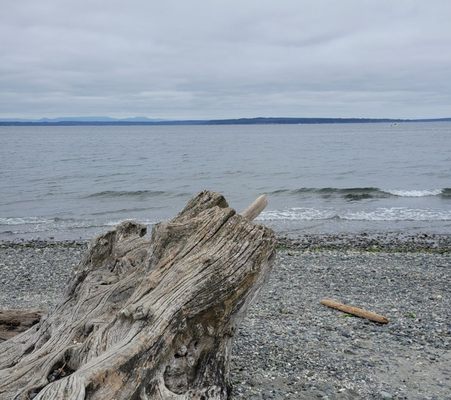 Carkeek Park by null