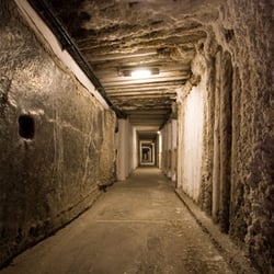 Shuttle 4 You - Salt Mine