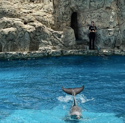 Texas State Aquarium by null