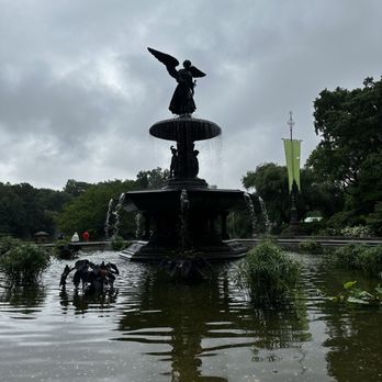 Central Park Conservancy - Parks Near Me - New York, New York Central Park Conservancy - Parks Near Me - New York, New York