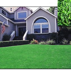 Zamora Sod Farm - Residential Sod Delivery and Installation
