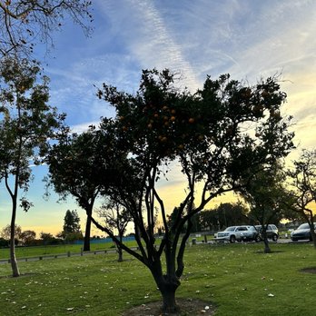 Tri-City Park - Parks Near Me - Placentia, California Tri-City Park - Parks Near Me - Placentia, California