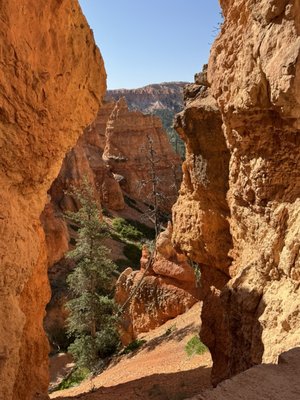 Bryce Amphitheater by null