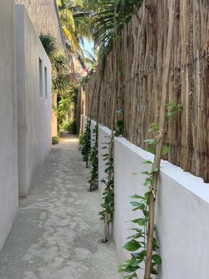 Hotel Punta Caliza by null