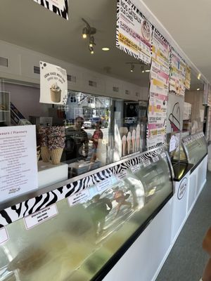 Wild Willy’s Ice Cream by null