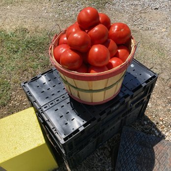 Wilbanks Produce - Fruits & Veggies Near Me - Corinth, Mississippi Wilbanks Produce - Fruits & Veggies Near Me - Corinth, Mississippi