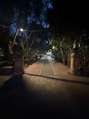 Parque Benito Juárez by null