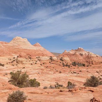 Dreamland Safari Tours - The Wave Tour | Instagram: @telephonesmoothie - Tours Near Me - Kanab, Utah Dreamland Safari Tours - The Wave Tour | Instagram: @telephonesmoothie - Tours Near Me - Kanab, Utah