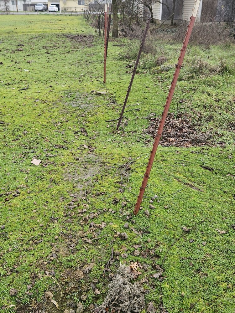 Slide of Mike Walker Lumber