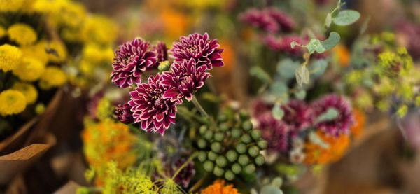 Erewhon by null Erewhon by null