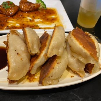 Dumpling King - The star of the show the Dumplings! These were Pork fried, and they are HUGE! - Chinese Near Me - North Miami Beach, Florida Dumpling King - The star of the show the Dumplings! These were Pork fried, and they are HUGE! - Chinese Near Me - North Miami Beach, Florida