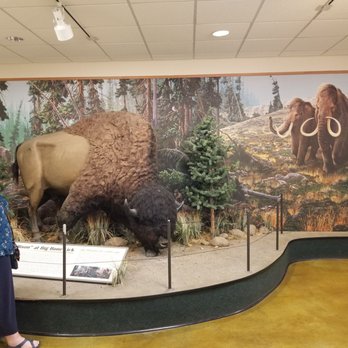 Big Bone Lick State Historic Site - In museum - Parks Near Me - Union, Kentucky