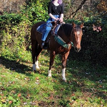 Good Luck Stables - Riding, Picture that Tour Guide Took!!! Amazing people - Horseback Riding Near Me - Hedgesville, West Virginia Good Luck Stables - Riding, Picture that Tour Guide Took!!! Amazing people - Horseback Riding Near Me - Hedgesville, West Virginia
