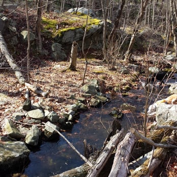 Harriman State Park - Part of the woods trail. - Parks Near Me - southfields, New York