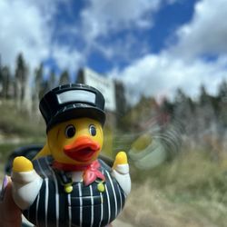 Yosemite Mountain Sugar Pine Railroad - Duck purchased at the kids depot which offered