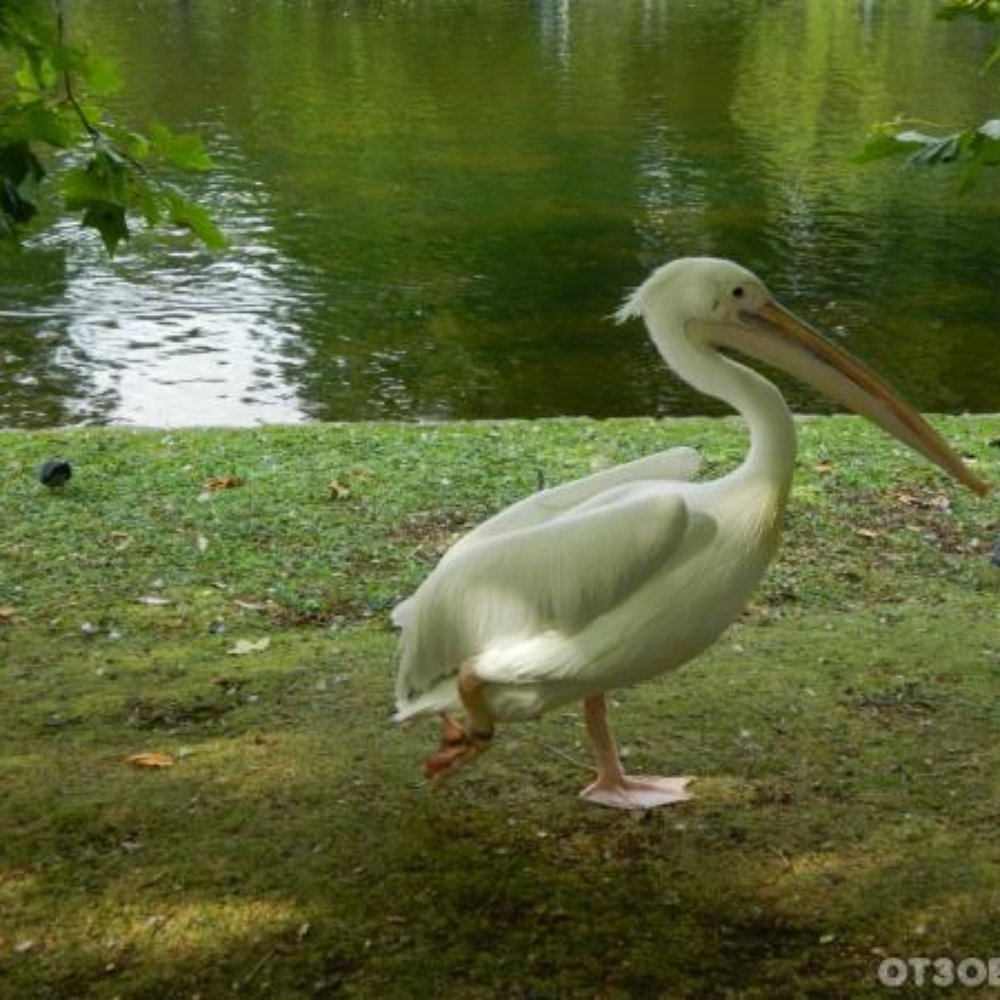 Kensington Gardens - Parks Near Me - London, XGL
