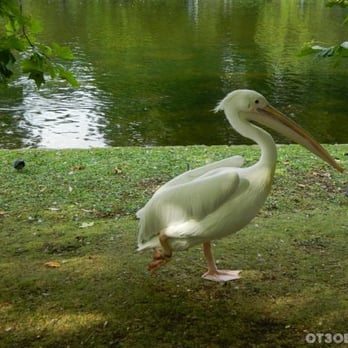 Kensington Gardens - Parks Near Me - London, XGL Kensington Gardens - Parks Near Me - London, XGL