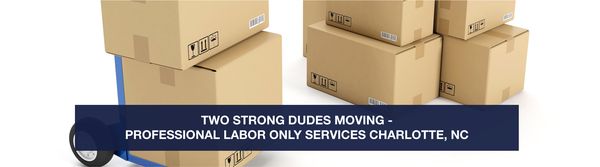 Two Strong Dudes Moving Company LLC