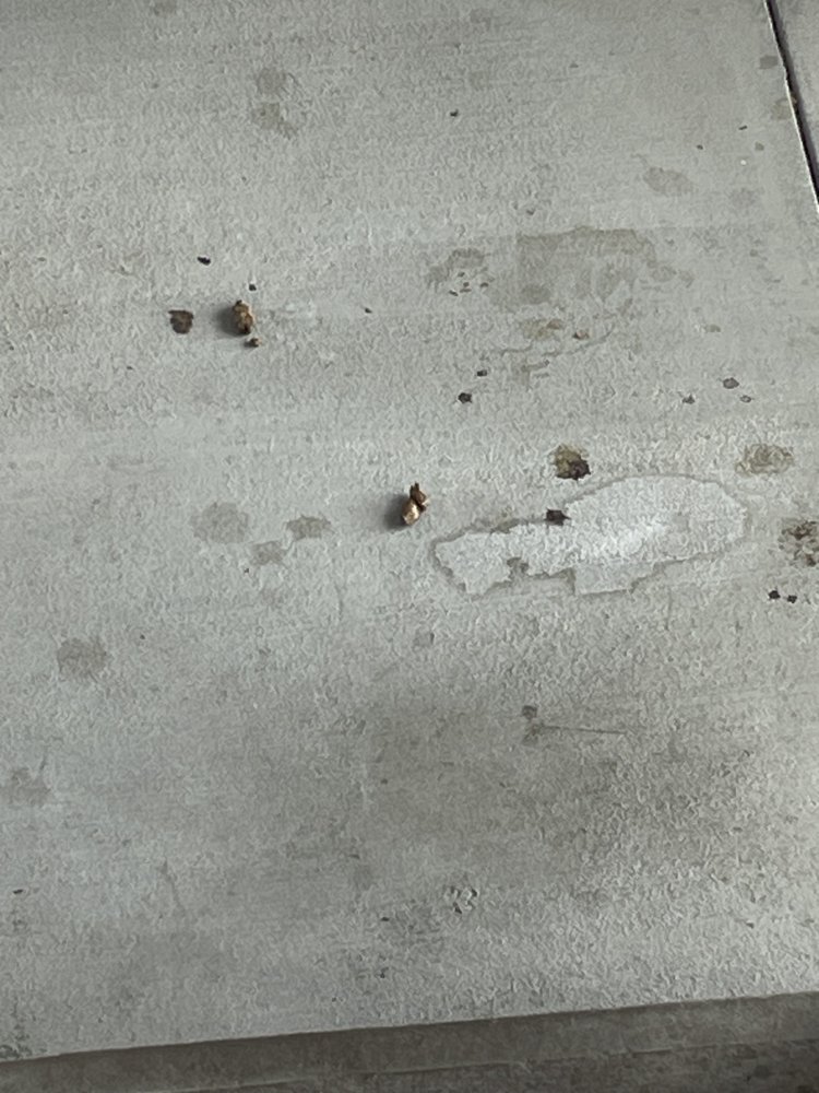 MIRAMONTE APARTMENTS Updated September 2024 1535 Moore Rd, Stafford