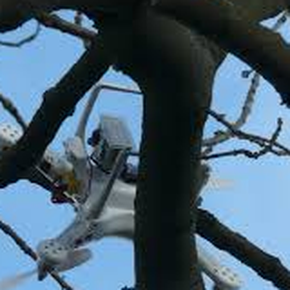 my drone got stuck in a tree.