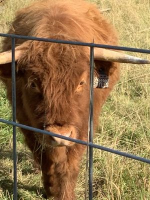 Diehl's Orchard & Cider Mill by null