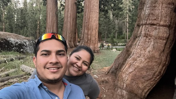Sequoia National Forest by null
