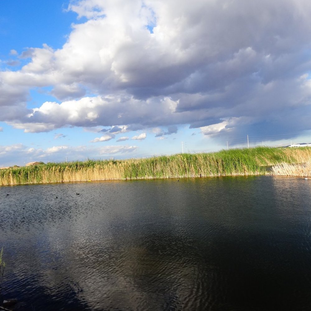 Cornerstone Park - spring storm - Lakes Near Me - Henderson, Nevada Cornerstone Park - spring storm - Lakes Near Me - Henderson, Nevada