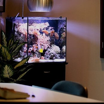 Deep Sea Aquarium Maintenance - Aquarium Services Near Me - Signal Hill, California Deep Sea Aquarium Maintenance - Aquarium Services Near Me - Signal Hill, California