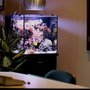 Photo of Deep Sea Aquarium Maintenance