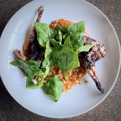 Electric Bleu by null