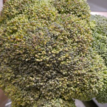 Boxed Greens - Broccoli is soft and yellowing, below grocer store quality! - Fruits & Veggies Near Me - Tempe, Arizona