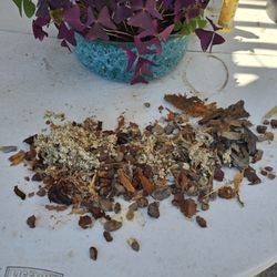 Maldonado Brothers Tree Service - Just a small sampling of what we had to manually fish out of our pool, left behind by MB Tree