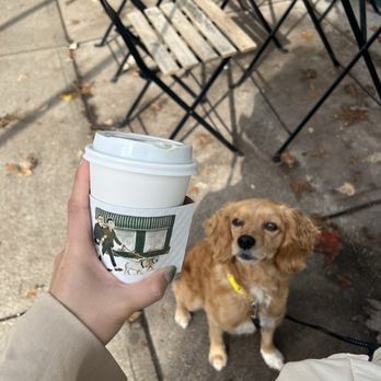 Marché Mon Pitou - Cafes Near Me - Vancouver, British Columbia Marché Mon Pitou - Cafes Near Me - Vancouver, British Columbia