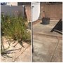 Mowing Ape Yard Care