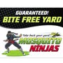 Photo of Mosquito Ninjas