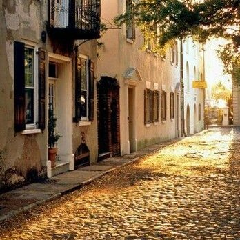 Lowcountry Walking Tours - Preserved cobblestone streets - Walking Tours Near Me - Charleston, South Carolina