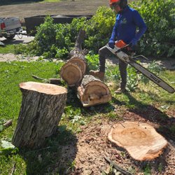 Almaraz Tree Services