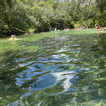 Blue Spring State Park - The beautiful swimming area where I got to see a manatee. - Parks Near Me - Orange City, Florida Blue Spring State Park - The beautiful swimming area where I got to see a manatee. - Parks Near Me - Orange City, Florida