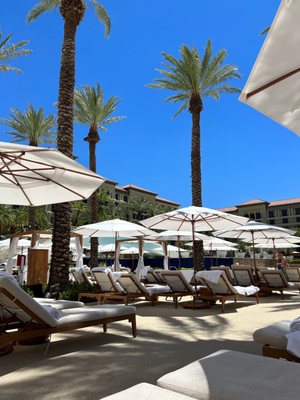 The Pool at Green Valley Ranch by null