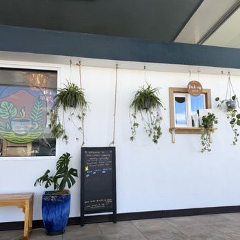 Hilo Coffee Corner - Coffee & Tea Near Me - Hilo, Hawaii Hilo Coffee Corner - Coffee & Tea Near Me - Hilo, Hawaii