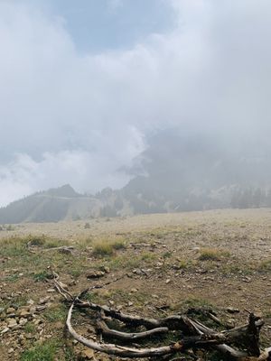 Corbet's Cabin Top of the World Waffles by null
