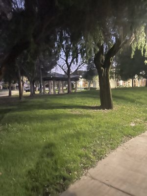 Abraham Lincoln Park by null