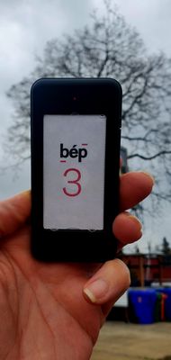 Belle Époque Pies by null