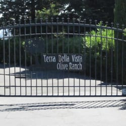 Terra Bella Vista Olive Oil Orchard